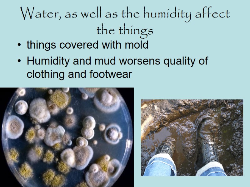 Water, as well as the humidity affect the things things covered with mold Humidity